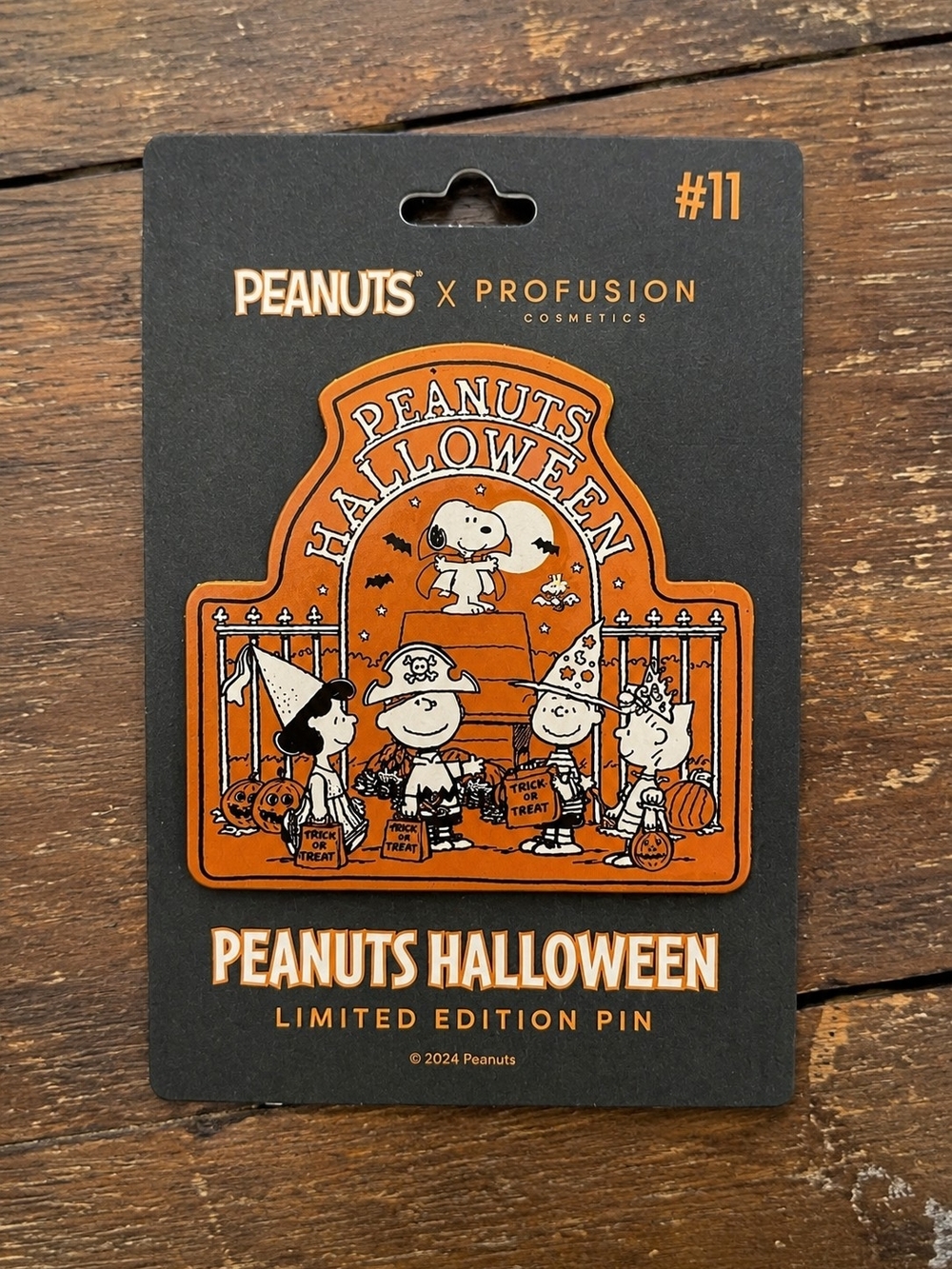 Peanuts x Profusion Halloween Limited Edition Pin #11